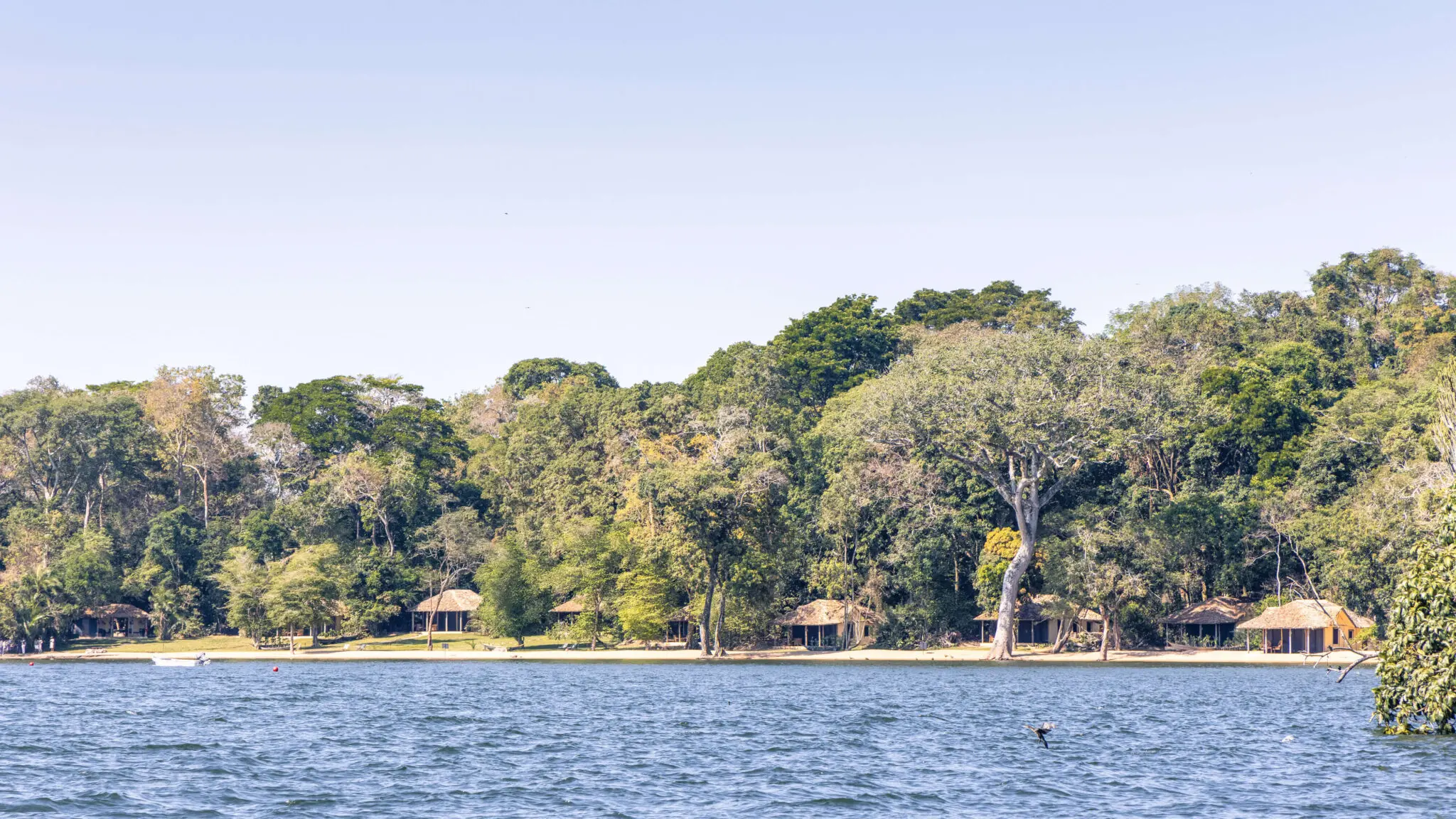 Rubondo Island Camp by Asilia