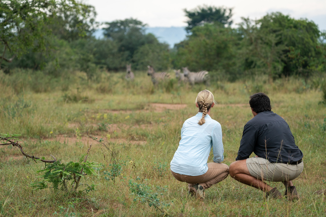 Be part of meaningful conservation efforts. Your stay directly supports wildlife monitoring, anti-poaching, and habitat restoration, with opportunities to join tracking experiences and learn from expert guides.