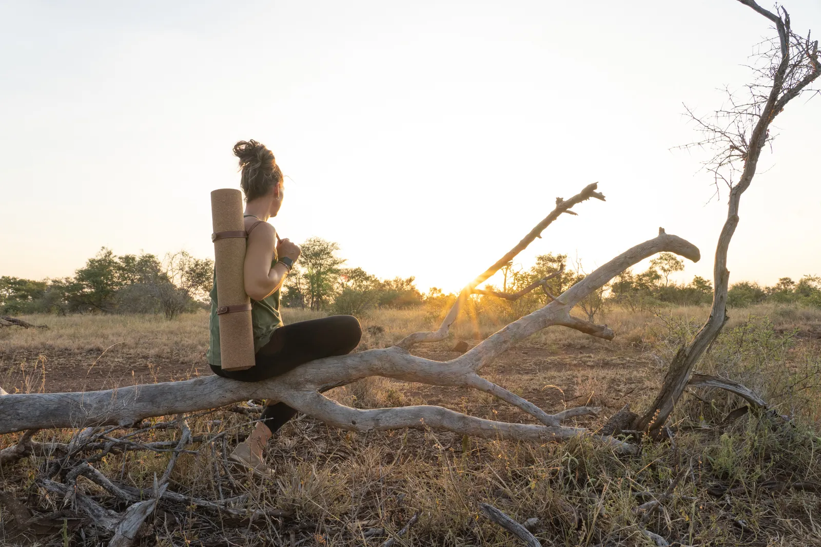 Spa, yoga, and wellness treatments with river views and wild inspiration.