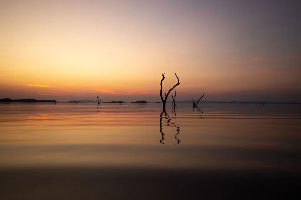 Spot colorful birds and photograph wildlife from water, land, and the lodge deck.