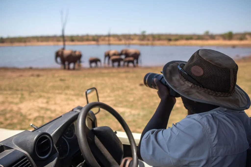 Explore the rich wildlife of Bumi Hills and Matusadona National Park with expert guides.