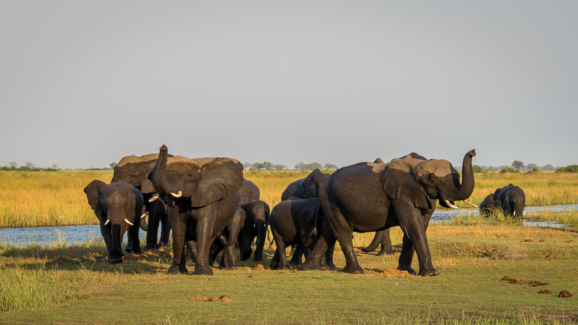 Flexible tented suite and welcoming staff make this camp ideal for families wanting real wilderness in comfort and safety.