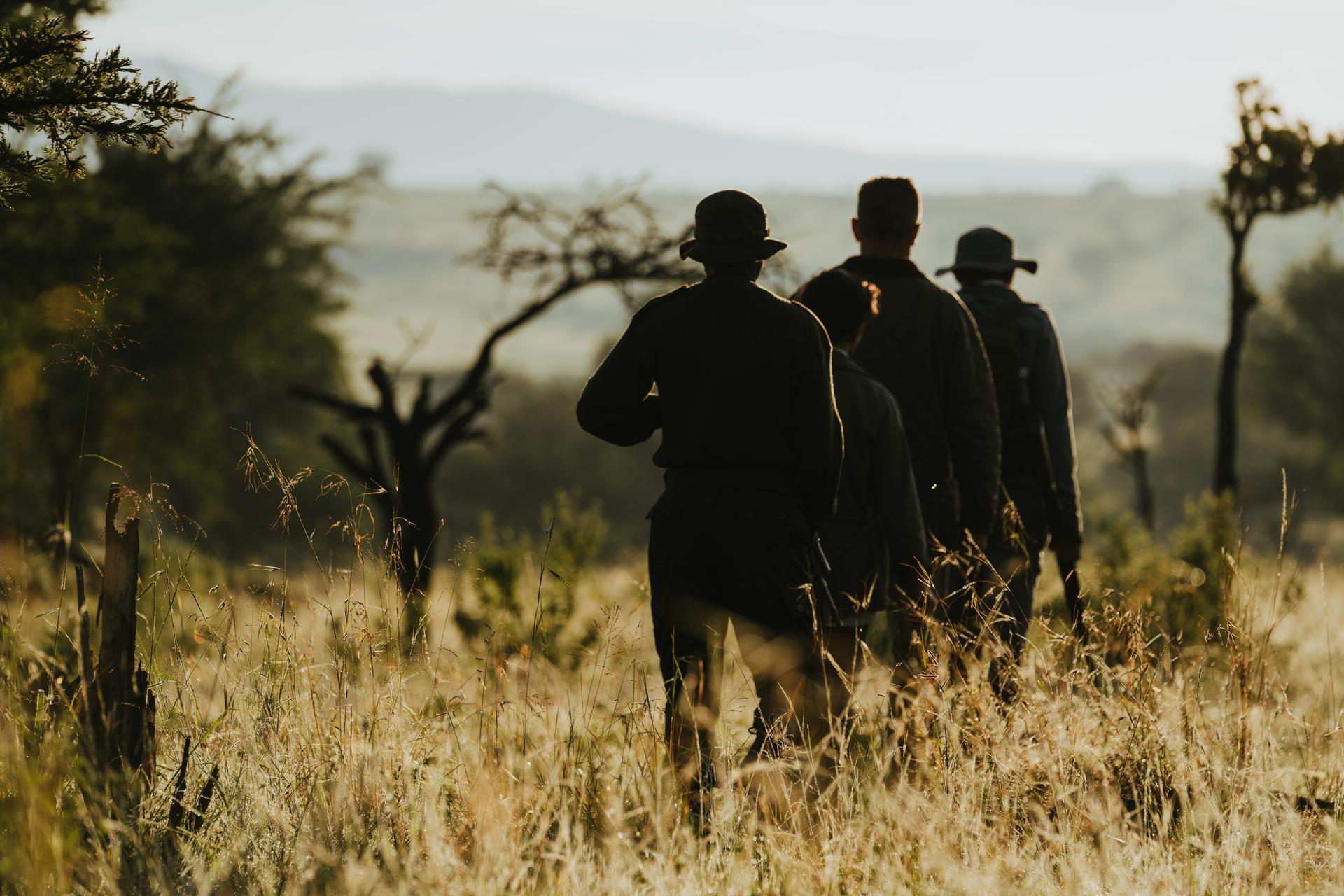 Camp is fully solar powered, built to leave no trace, and removes all waste for maximum sustainability.