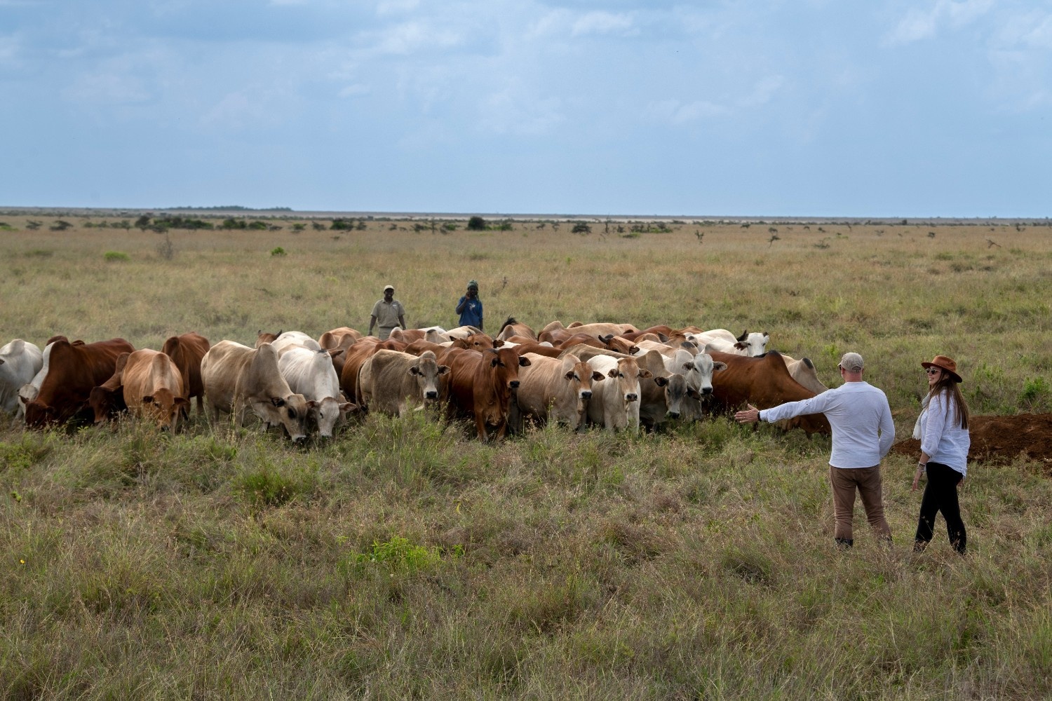Connect with Samburu and Laikipia communities, visit homesteads, and learn local traditions.
