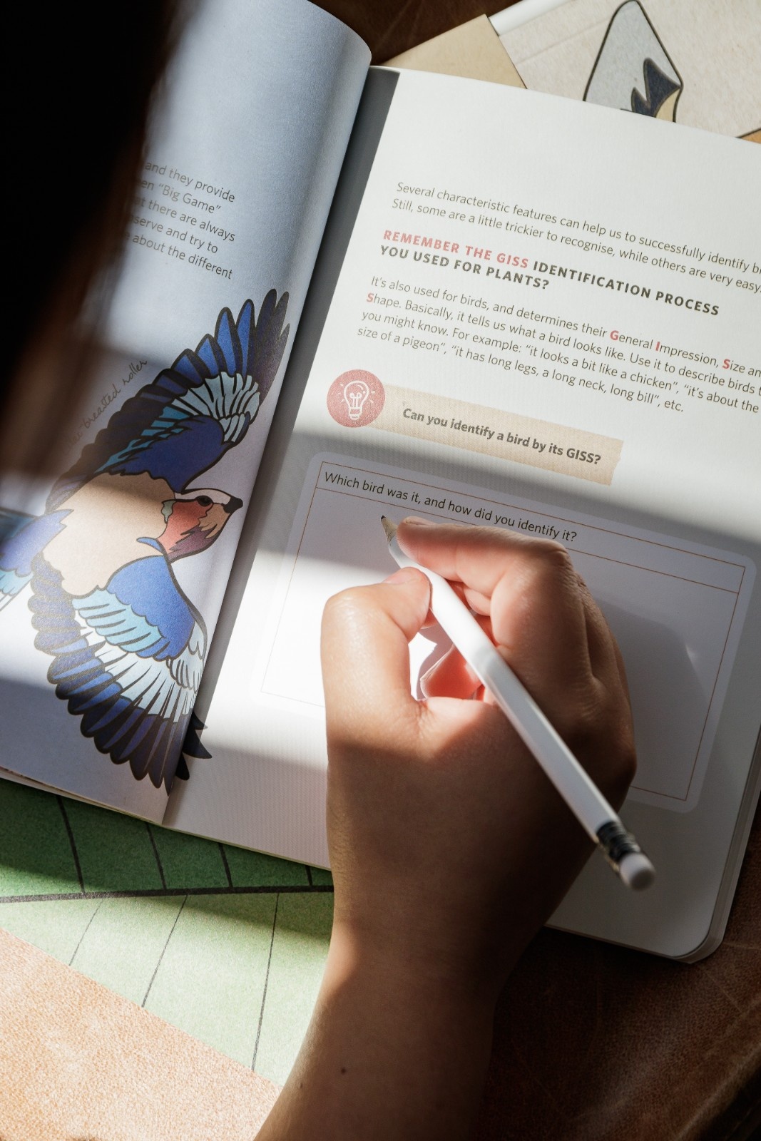 Every stay supports rhino protection, local education, and eco initiatives in Kruger.