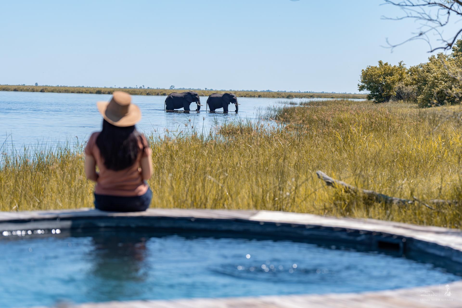 Enjoy both water and land safaris with game drives, boat trips, barge excursions, and guided bush walks. This variety offers a deeper, more immersive wildlife adventure.