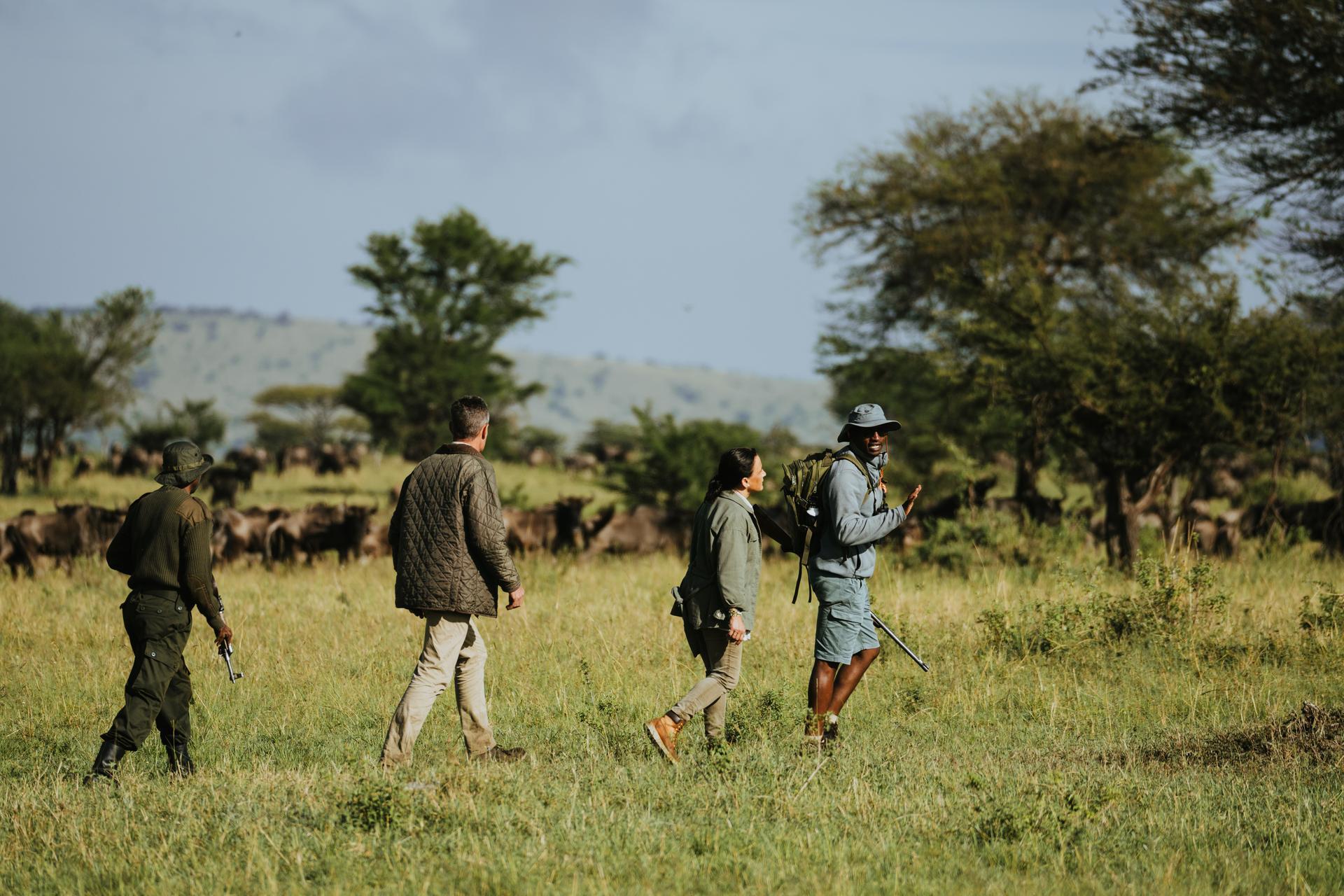 Highly trained guides track the herds, find predators, and share the secrets of the Serengeti with every guest.