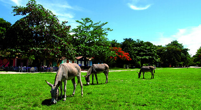 Uxua Casa Hotel Spa