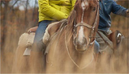 Traditional horseback exploration programs connect travelers with authentic baqueano heritage.

