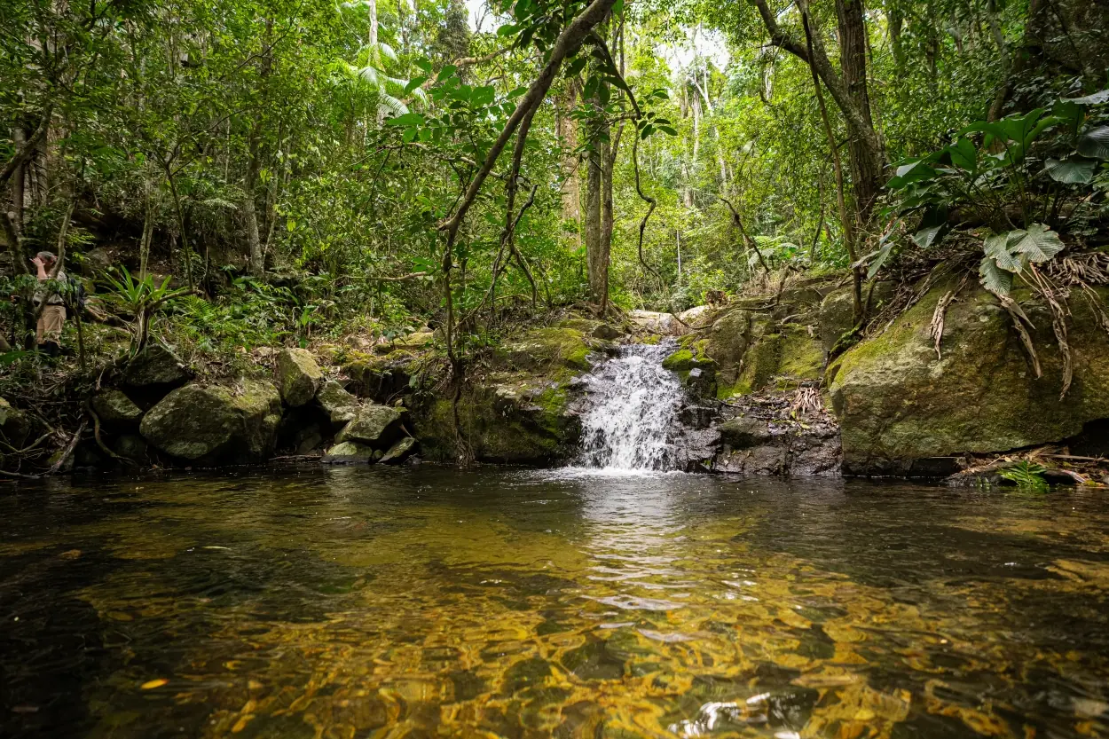 Immersive access to one of the world’s richest biodiversity regions.