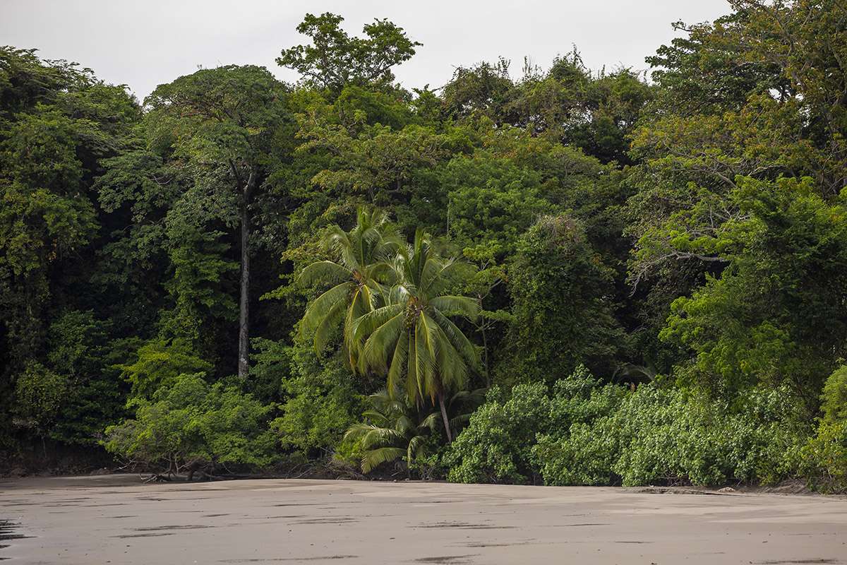 Extensive conservation areas create extraordinary biodiversity.
