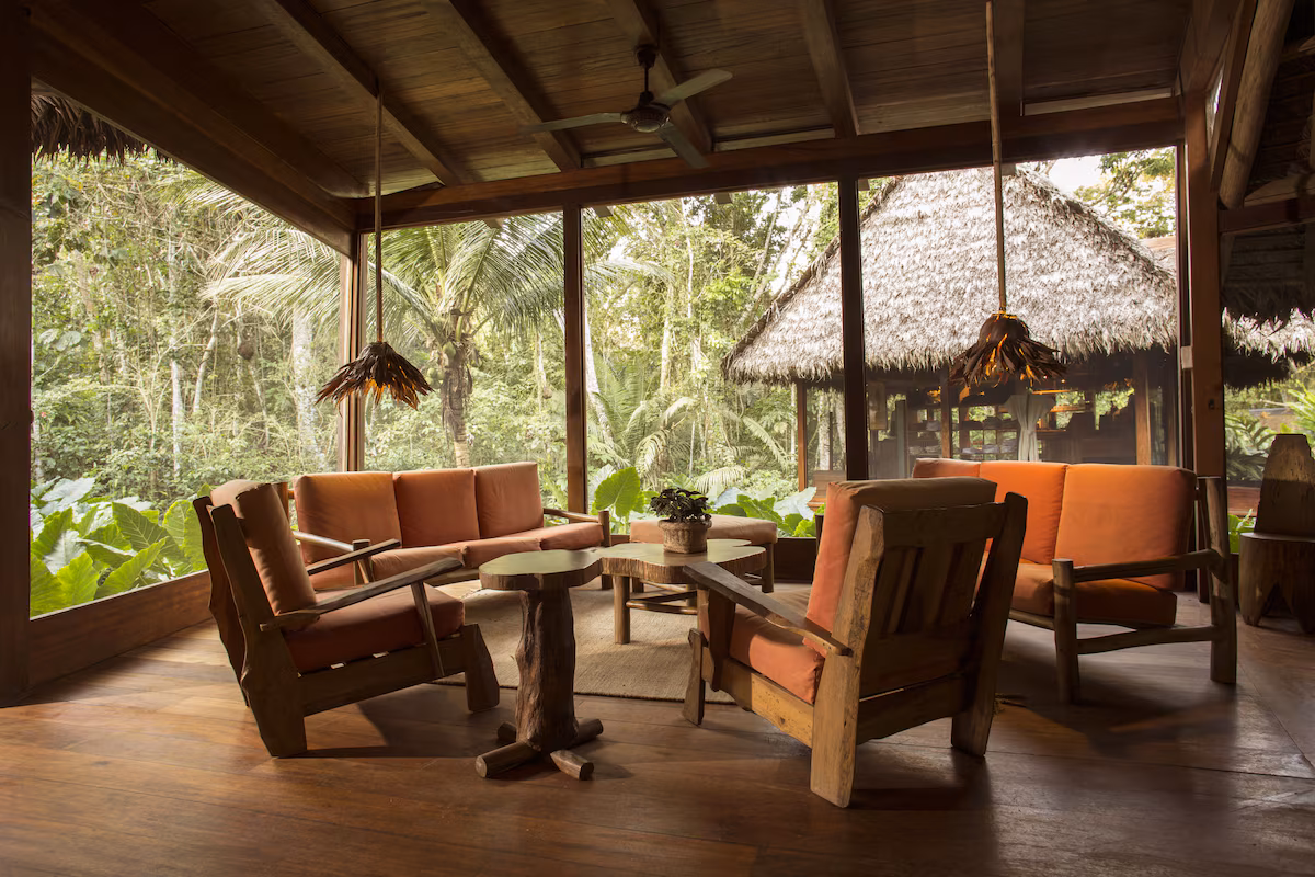 Comfortable accommodations integrated naturally into the rainforest environment.
