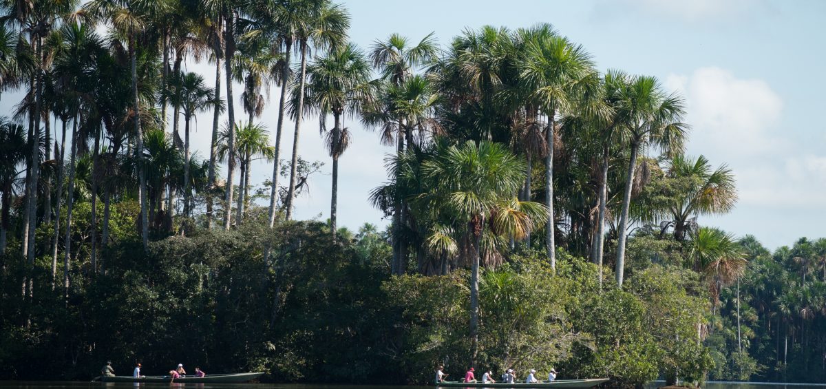 Naturalist-led experiences focused on biodiversity and conservation.
