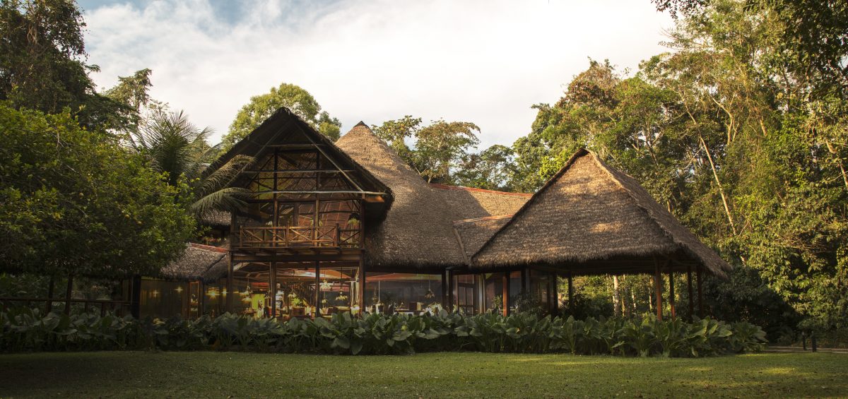 Deep rainforest immersion beside Tambopata National Reserve.
