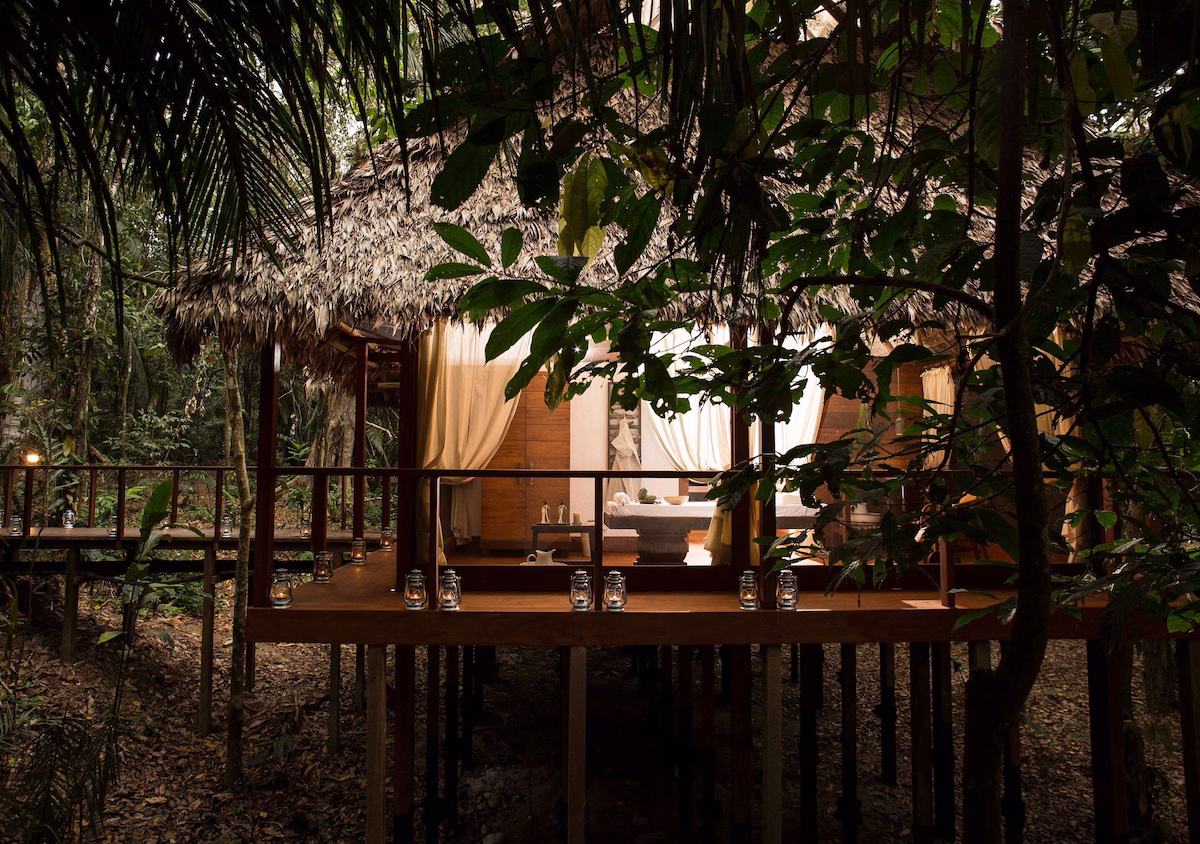 Expert naturalist excursions focused on biodiversity and ecology.
