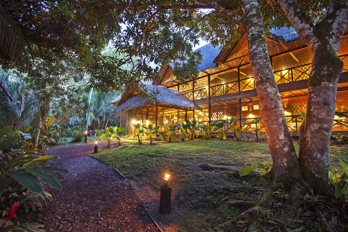 Nature-integrated cabanas surrounded by rainforest biodiversity.