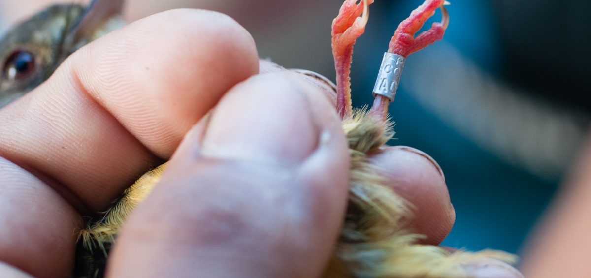 Expert-led learning across ecosystems and species.

