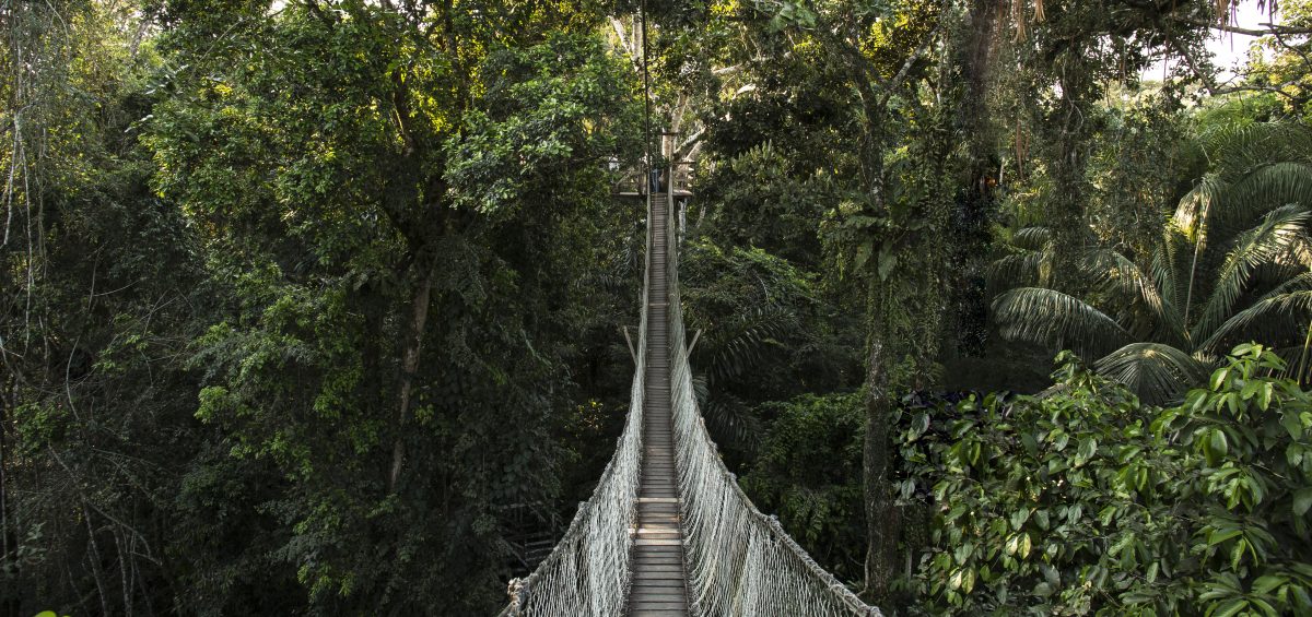 Immediate access to one of the world’s richest ecosystems.
