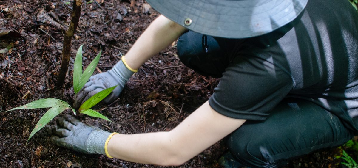 A working ecological station supporting field science.
