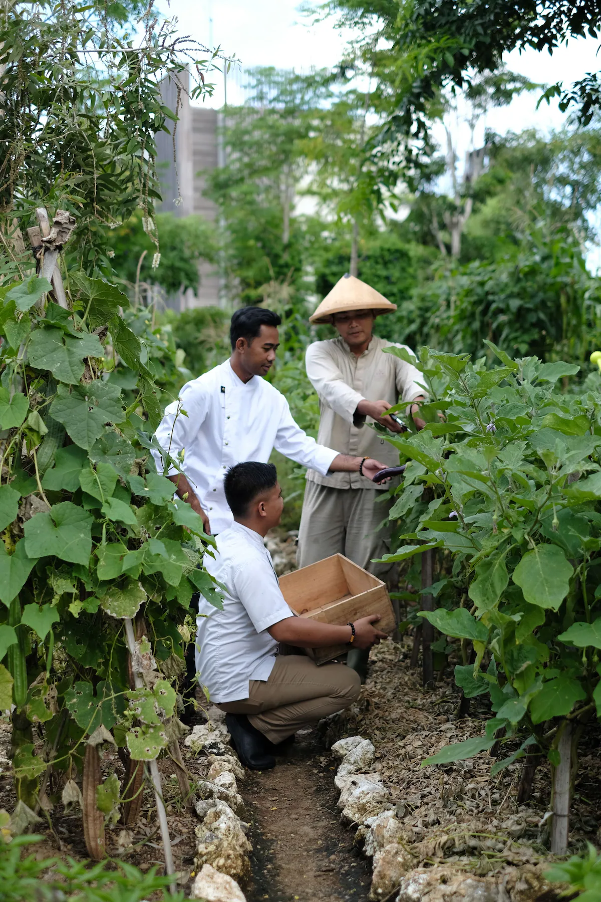 Hands-on sustainability experiences and environmental education.