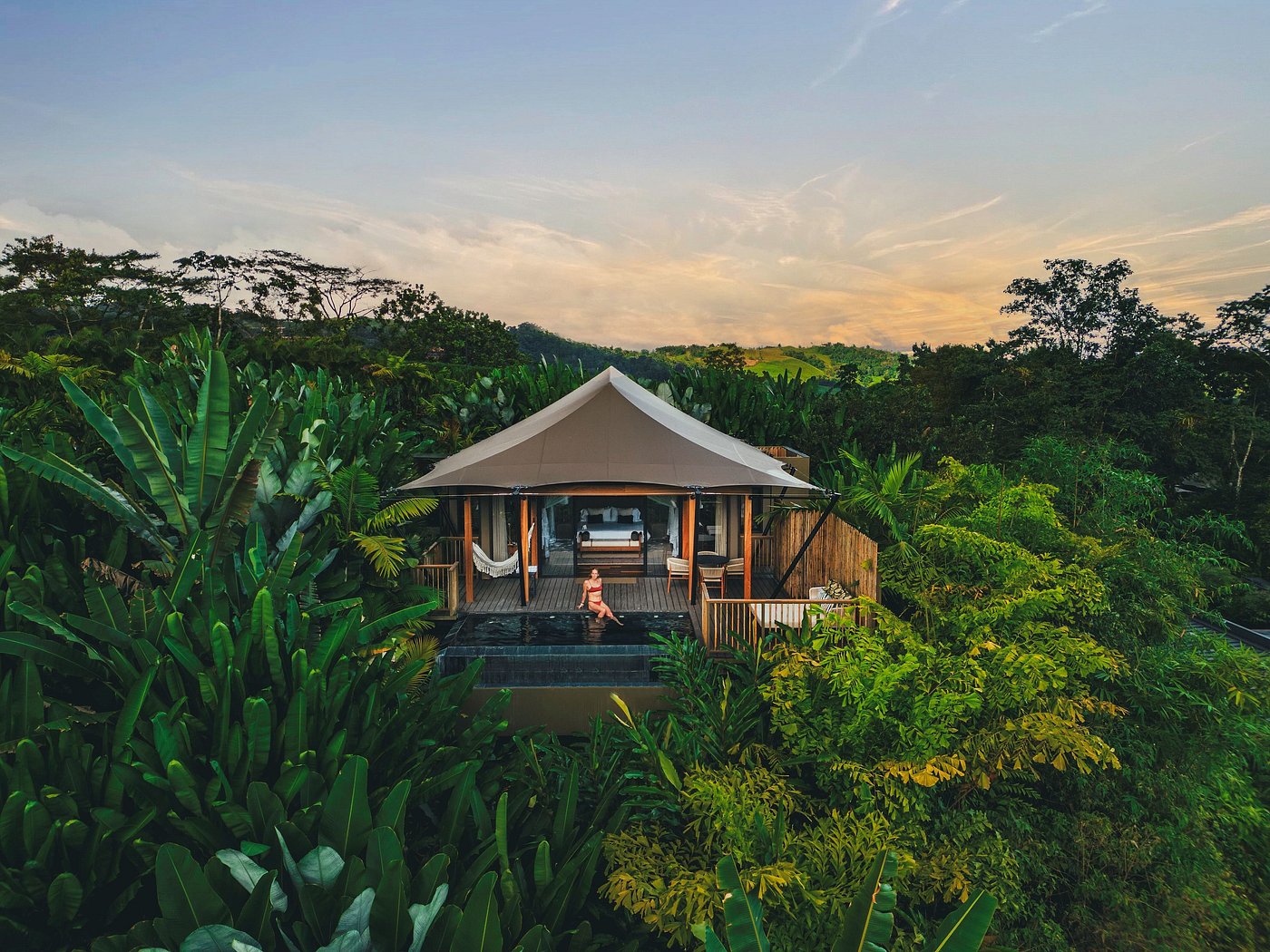 Exceptional opportunities to encounter sloths, tropical birds, and rainforest wildlife.

