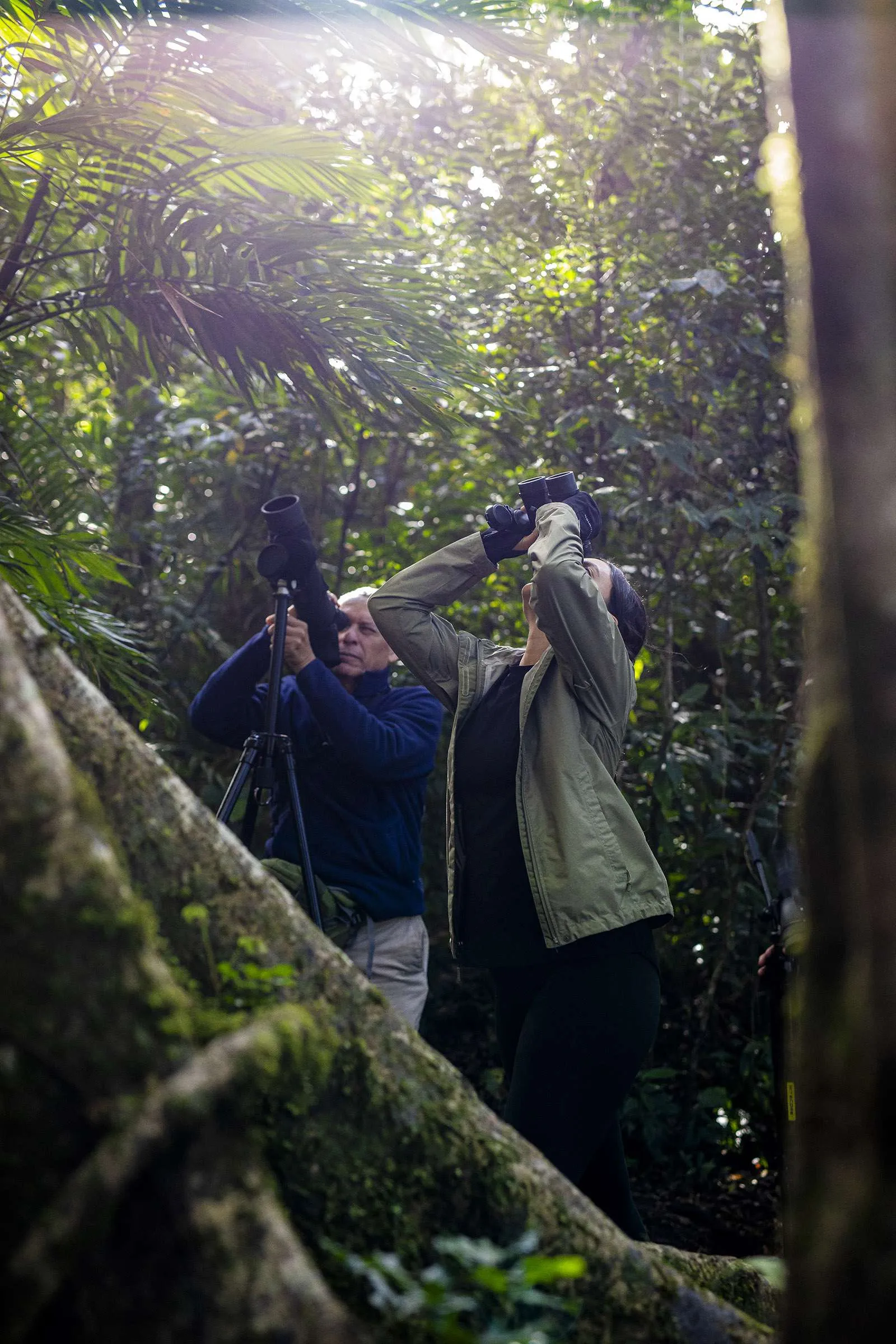 A paradise for birders and wildlife enthusiasts.