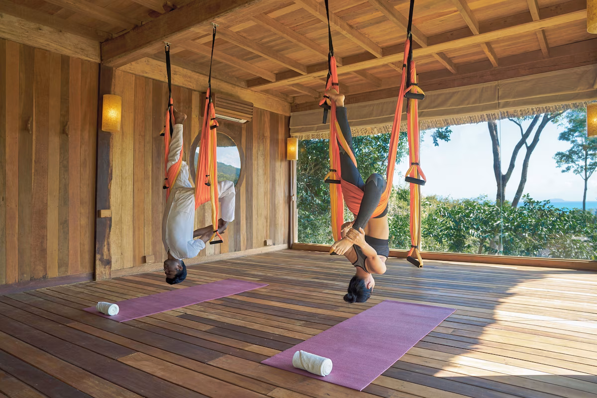 Transformative wellness and holistic healing experiences.

