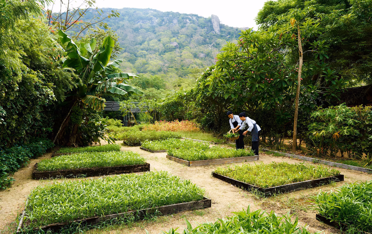 Hands-on sustainability education and conservation engagement.

