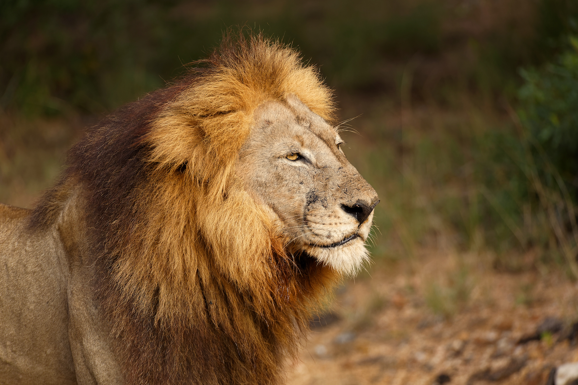 South Africa