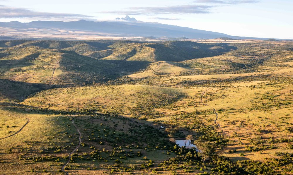 Borana Lodge