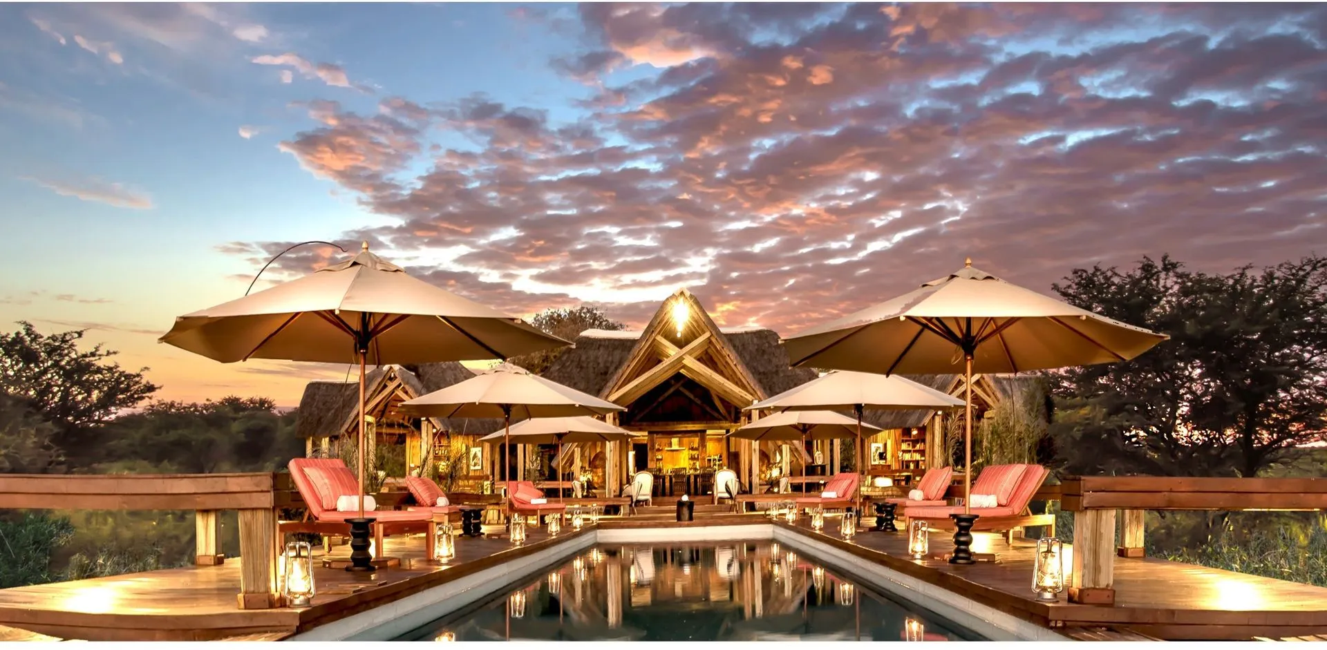 Feline Fields Lodge