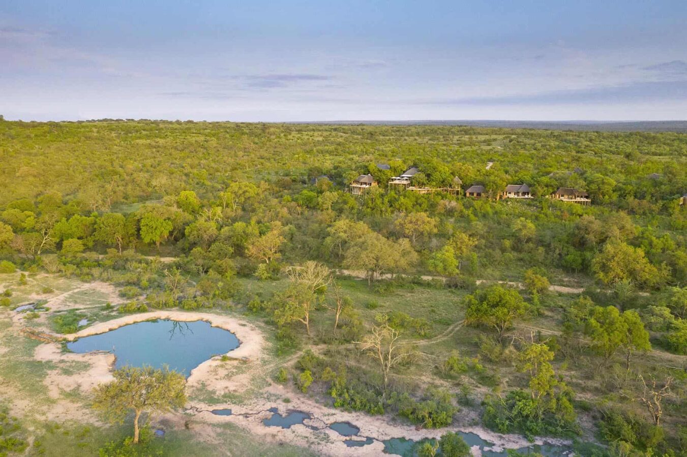 Leopard Hills