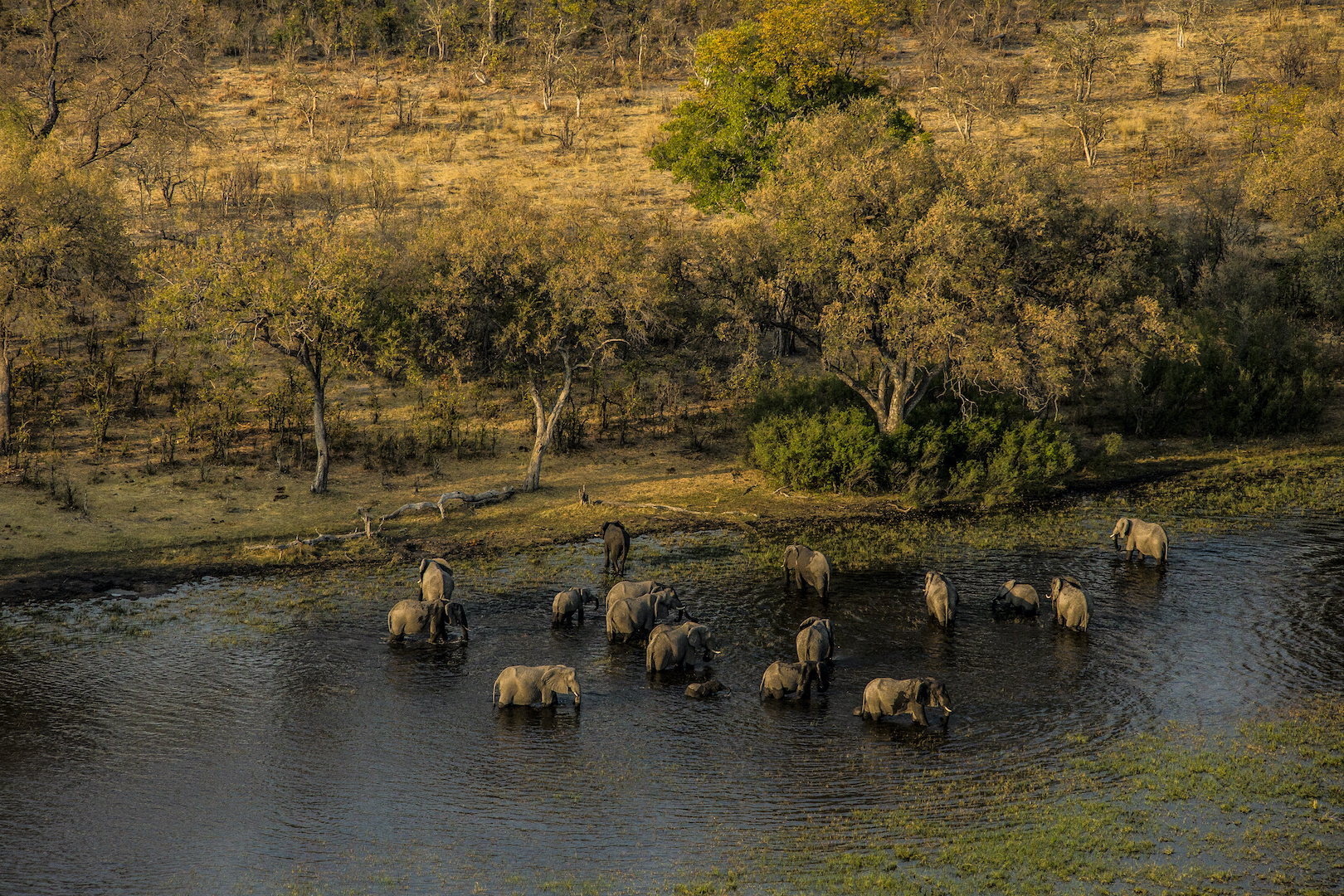 Selinda Main Camp by Great Plains