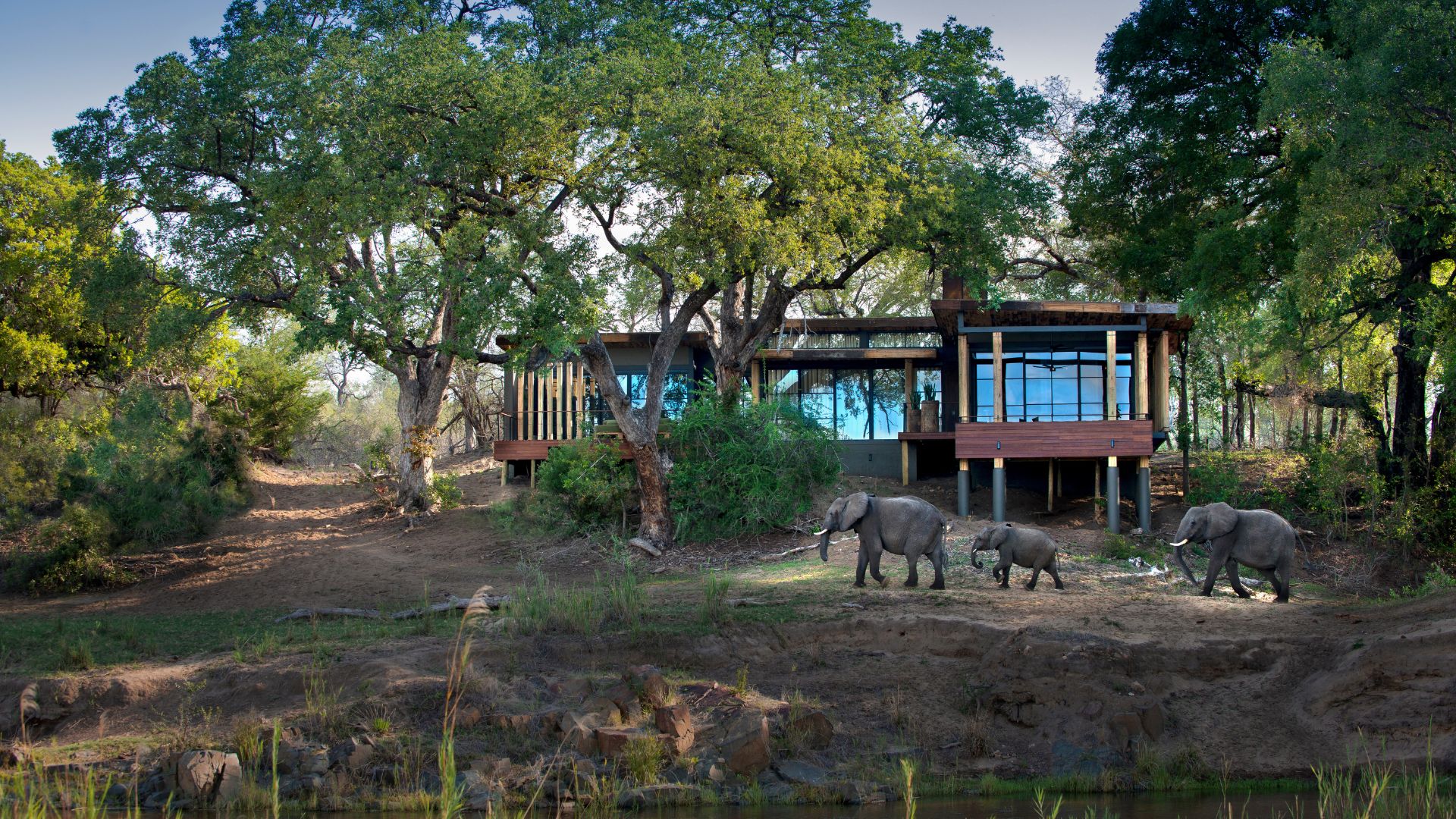 Tengile River Lodge by Mala Mala