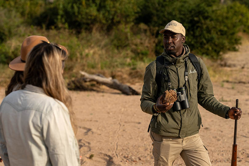 Knowledgeable guides lead walking safaris and game drives for intimate wildlife encounters.