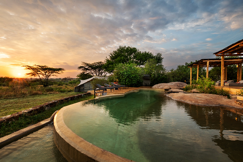 Relax in the pool or with spa treatments overlooking the wild Serengeti plains.