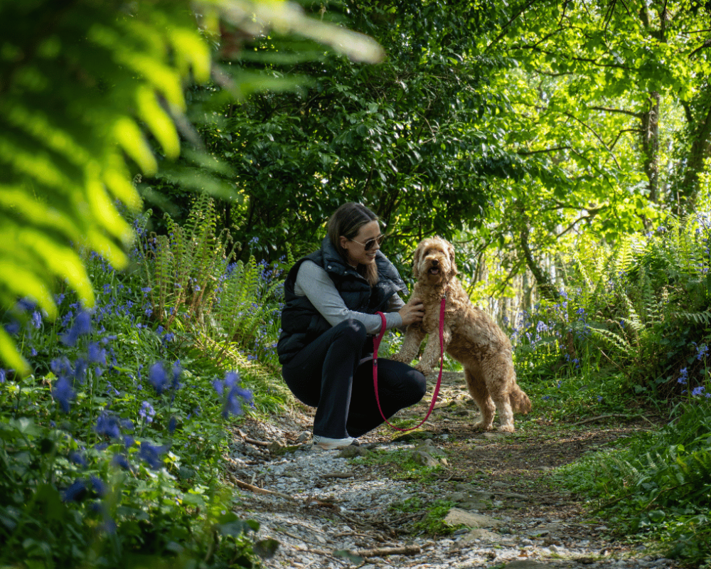 A peaceful location among the woodlands of Glanmire, just minutes from Cork City.
