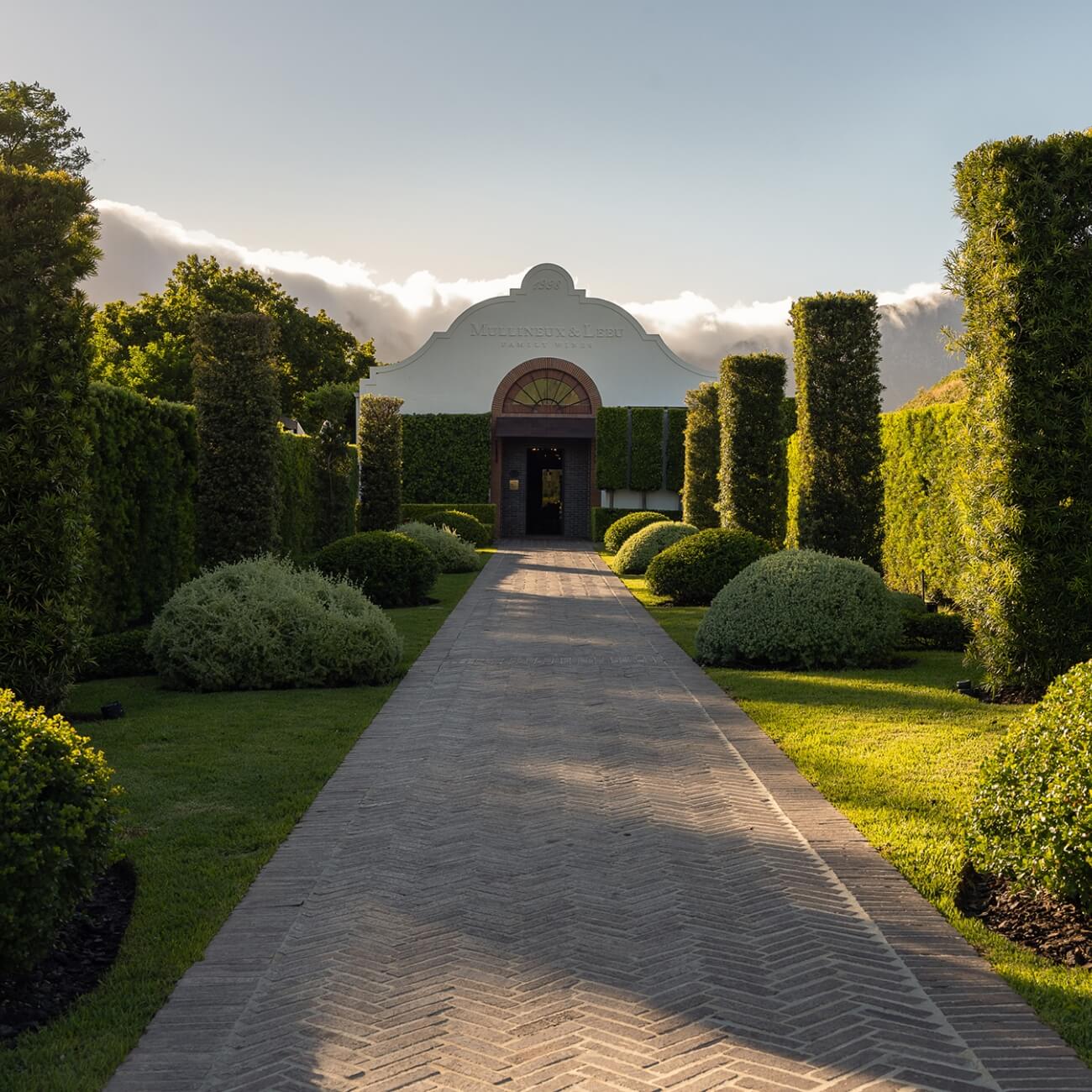 Curated tastings of internationally acclaimed wines.
