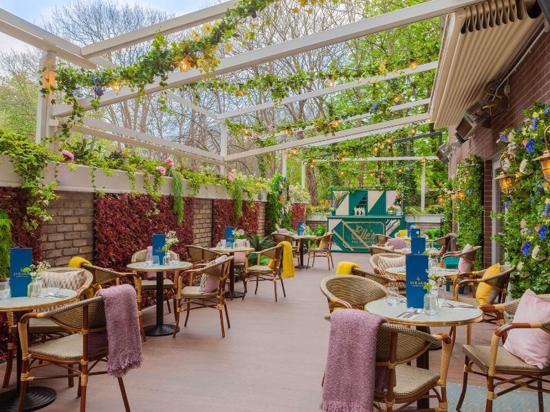 The hotel sits beside the Iveagh Gardens, creating an unusual green refuge in central Dublin.
