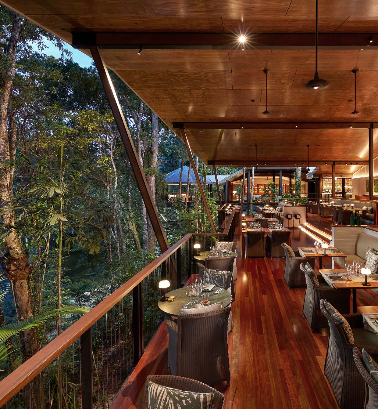 Seasonal contemporary Australian cuisine showcasing premium local ingredients served amongst the rainforest canopy.