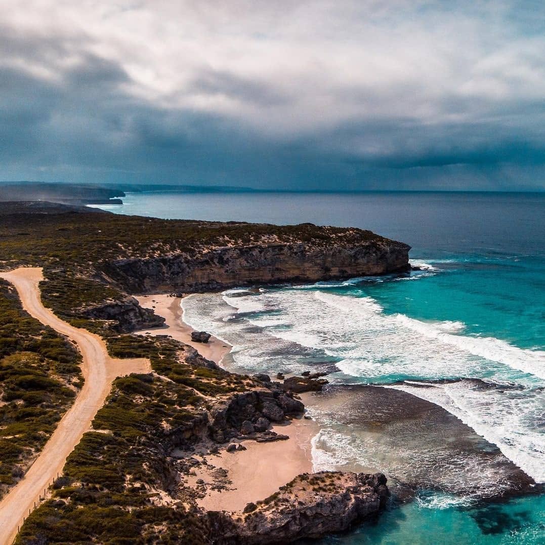 Private guided wildlife encounters, coastal adventures and conservation-focused excursions create meaningful connections with this remarkable destination.