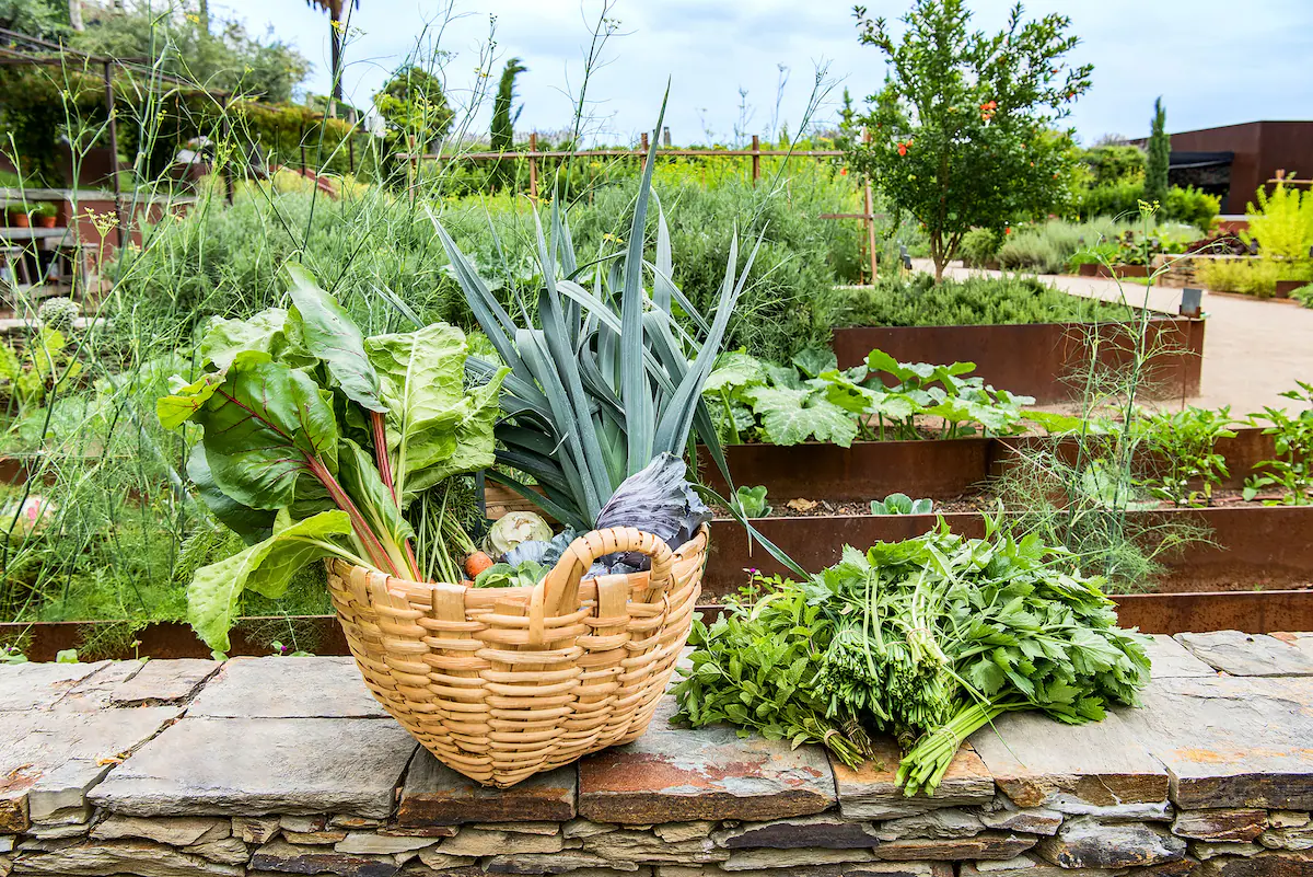 Seasonal menus inspired by local ingredients and regional traditions.
