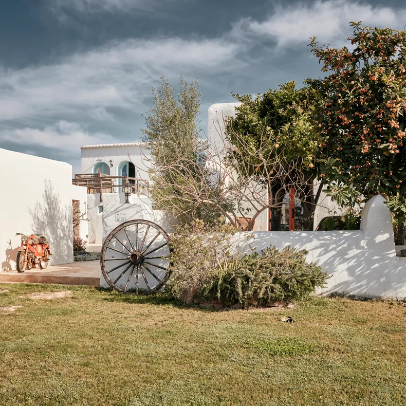 Fresh ingredients sourced through local and regenerative practices.