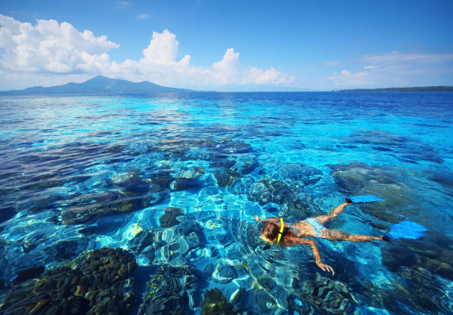 An experienced dive master oversees scuba diving while the yacht carries equipment for exploring Indonesia's underwater world.