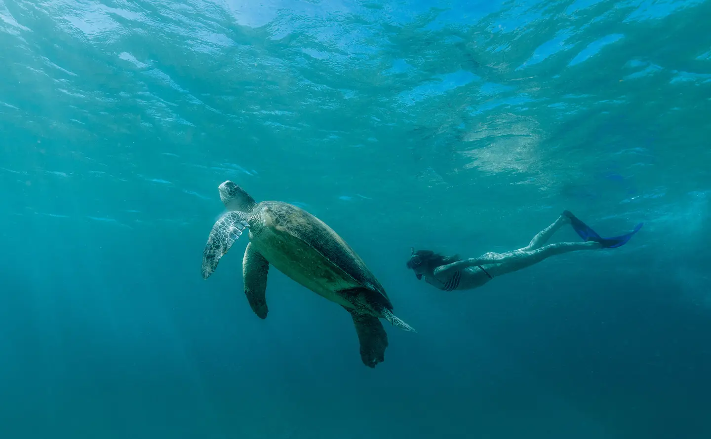 Amanwana's dive centre caters to all levels, from complete beginners through experienced divers.