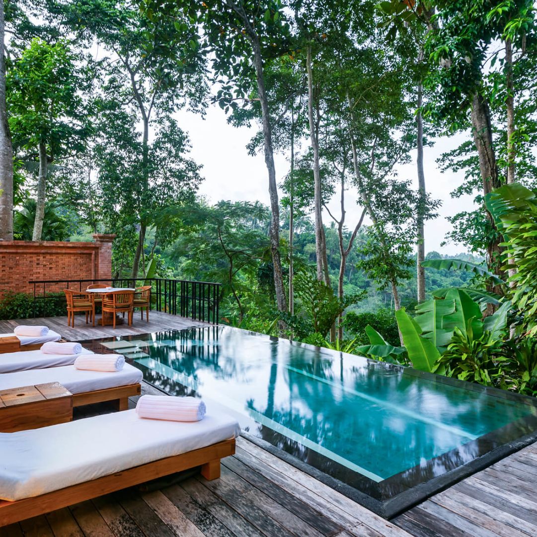 Larger villas feature landscaped courtyards and infinity plunge pools, creating a secluded connection with the surrounding greenery.