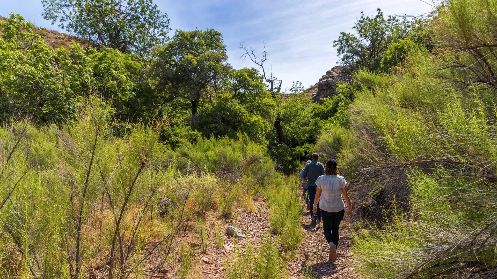 Private culinary service and knowledgeable guides create personalized experiences connected to the landscape.