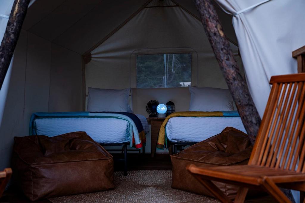 Thoughtfully designed canvas accommodations combine comfortable beds, upscale furnishings, and nature-inspired interiors, offering an authentic outdoor experience without sacrificing modern comforts.