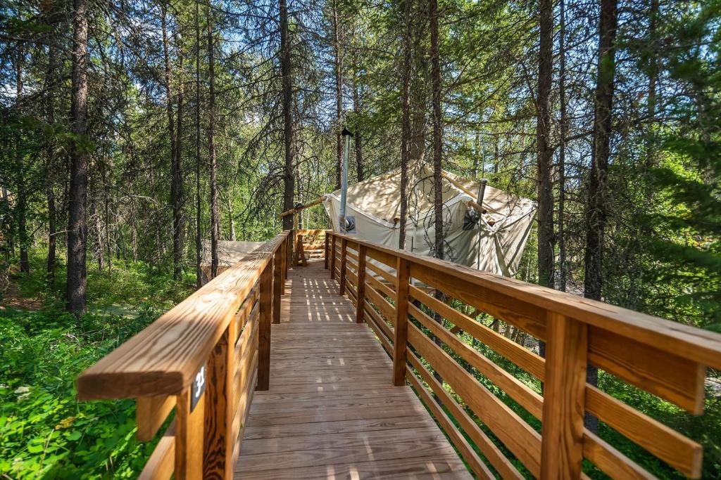Located near the park's West Entrance, Under Canvas Glacier offers convenient access to world-famous hiking trails, alpine lakes, scenic overlooks, and unforgettable mountain adventures.