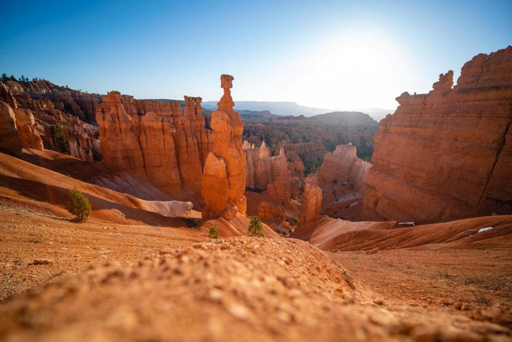 Knowledgeable staff help guests plan unforgettable hiking, sightseeing, horseback riding, and national park adventures throughout Southern Utah.